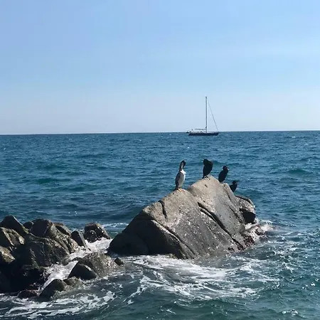 White Stones Beach In Sant Pol De Mar Exterior photo