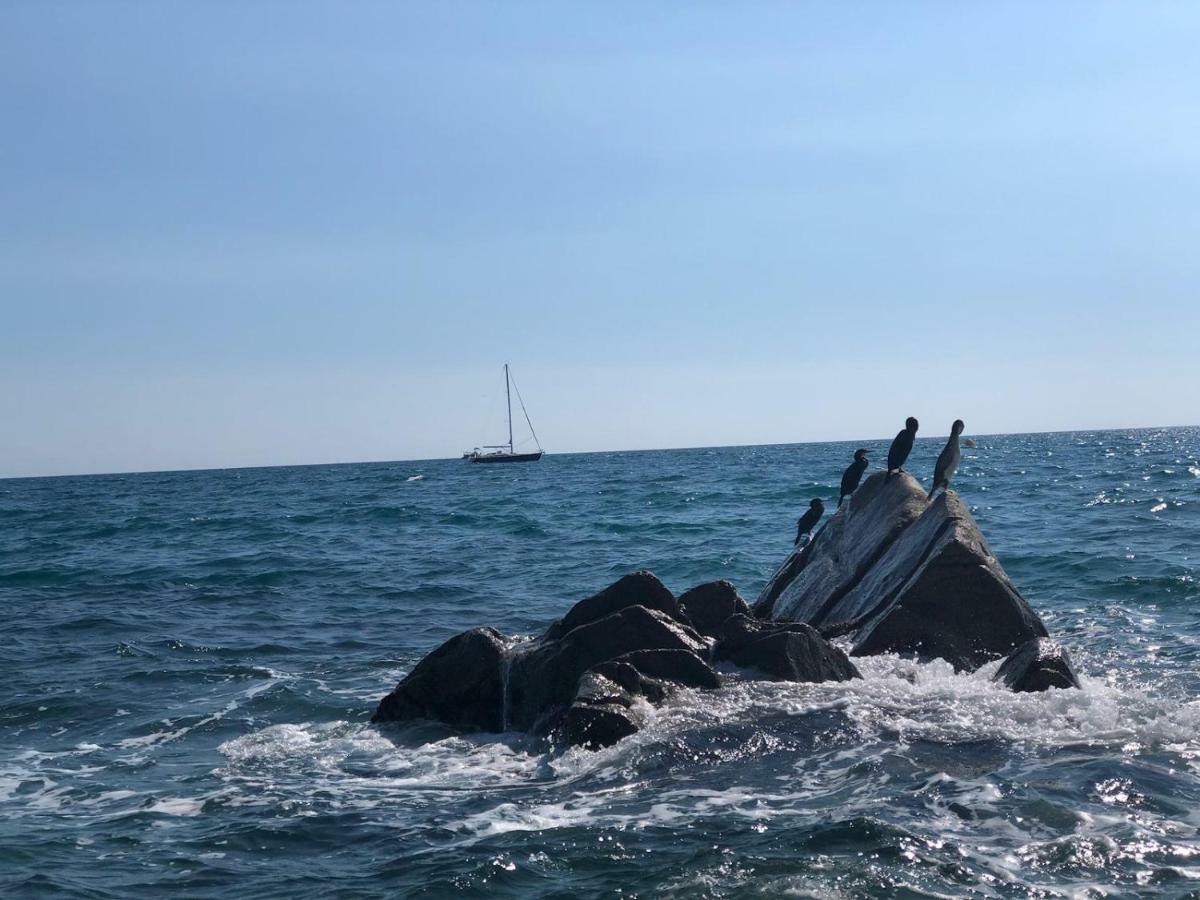 Appartamento White Stones In Sant Pol De Mar